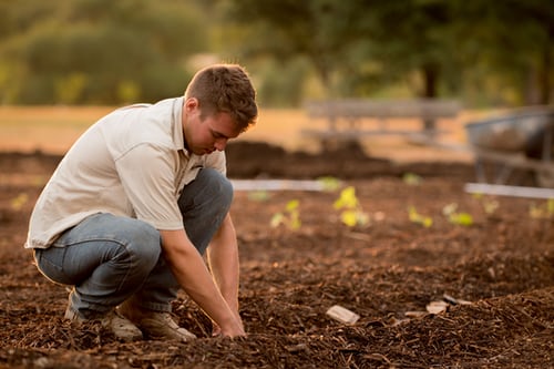 家庭菜園ですぐ使える！おすすめ農薬・土壌改良材７選【有機栽培対応】